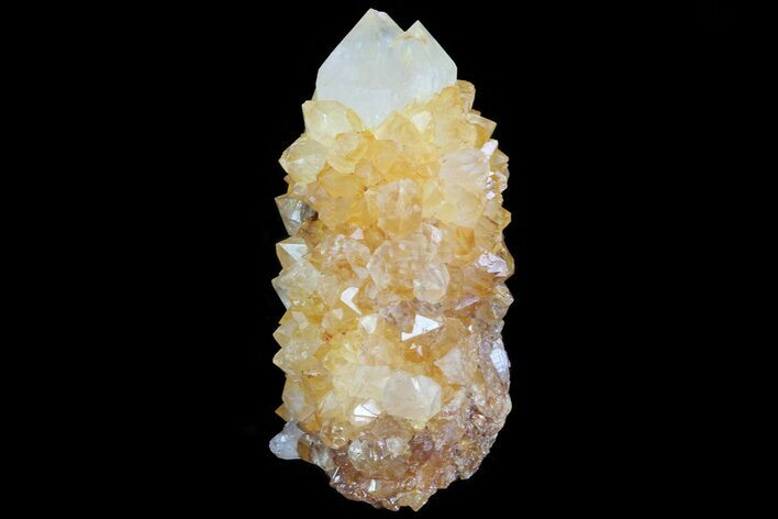 Sunshine Cactus Quartz Crystal - South Africa #80198